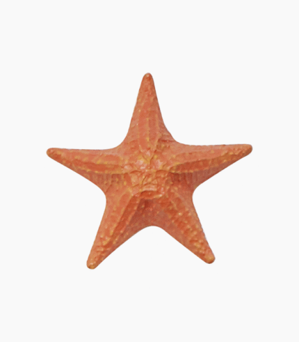 Starfish