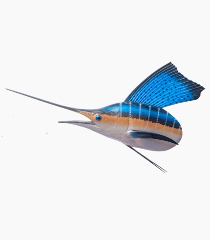 Head Sailfish